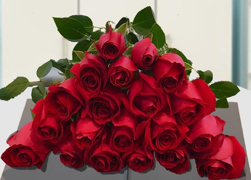39朵红玫瑰的花语是除了你还是你,寓意着在自己的心里只有你的
