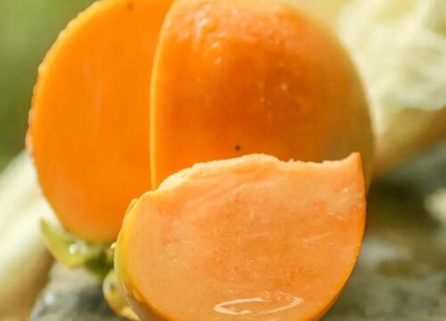 脆柿子怎么做出来的窍门  做脆柿子最简单的方法