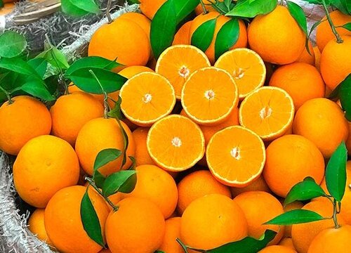 橙子的外形特点和味道描写 如何描写橙子的颜色形状和外形
