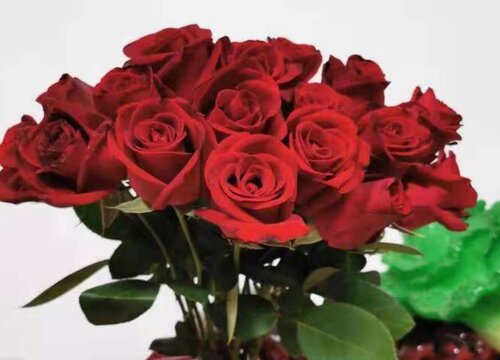 玫瑰花朵数代表的含义 玫瑰花送几朵代表什么意思
