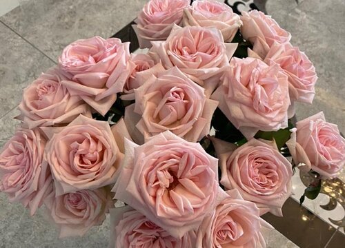 十九朵玫瑰代表什么意思 男生送女生19朵玫瑰花的含义