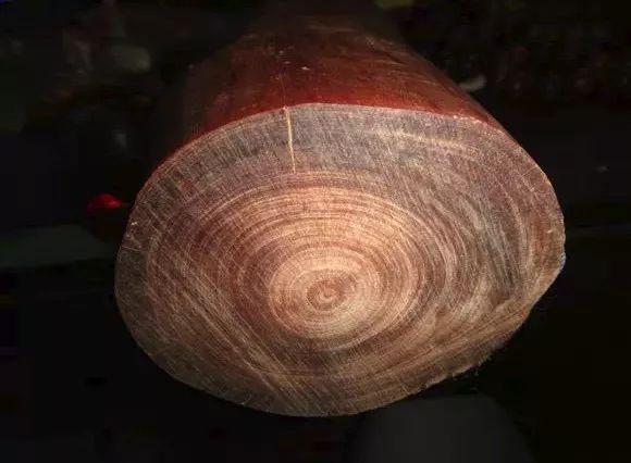 琥珀木是什么木材