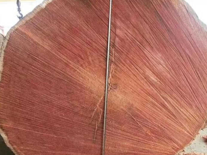 铁线子木是什么木材