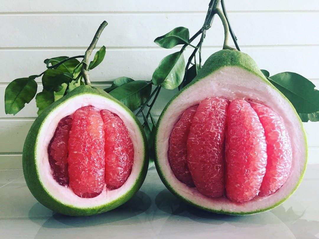 泰国红宝石青柚授粉图片
