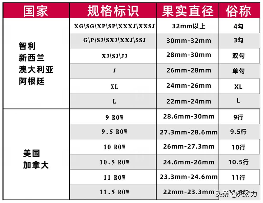 车厘子大小规格图片图片