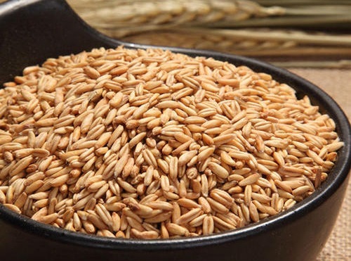 莜麦是什么作物 属于什么带作物
