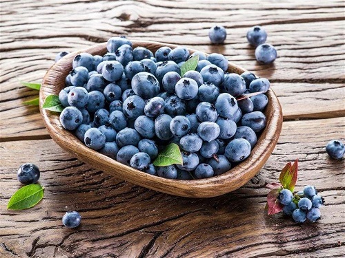 蓝莓果期有多久 果期养护与管理方法