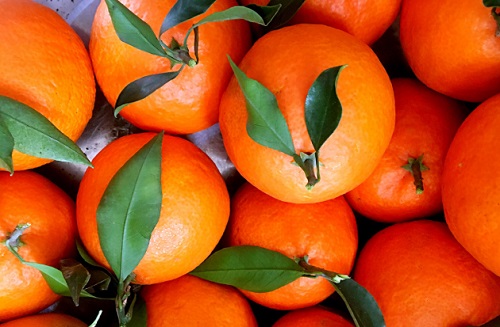 橙子有籽吗 橙子籽能吃吗