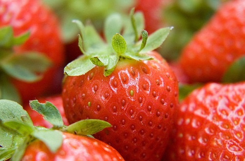草莓有籽吗 草莓籽能吃吗