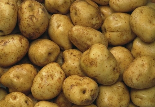 土豆保存方法及温度 怎么储存时间长