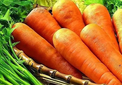 胡萝卜套种什么好 套种作物品种及技术