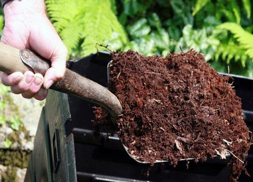 堆肥可以直接种花吗