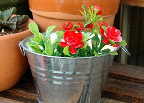 铁桶可以种花吗