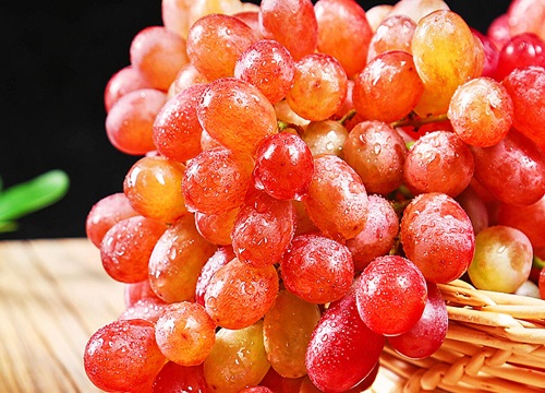 葡萄成熟的季节是几月