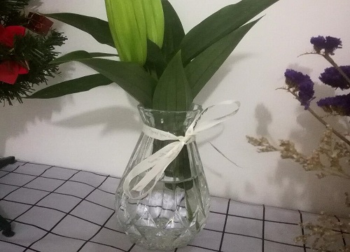 室内花瓶适合养什么花