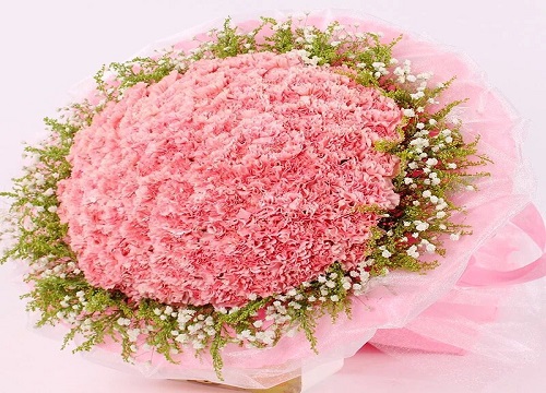 粉色康乃馨花语代表什么意思