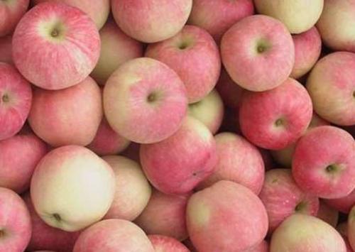 苹果黄叶病用什么药效果好 病因及防治方法