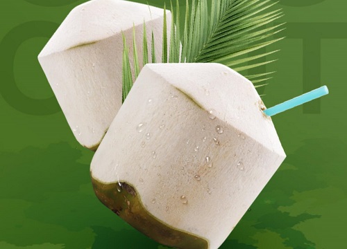椰子是被子植物吗