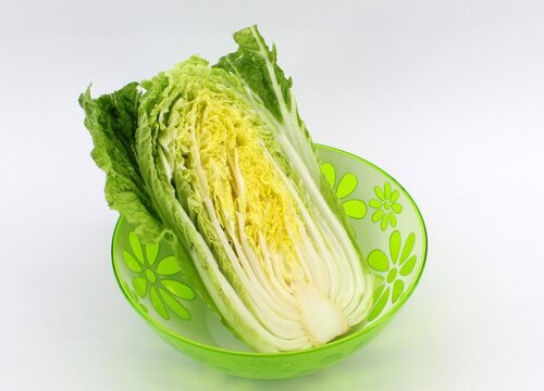 白菜是被子植物吗