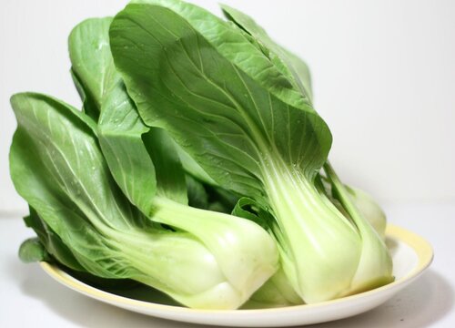 小白菜的生长习性特点和生长环境条件