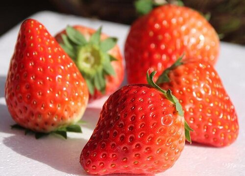 草莓是什么味道的