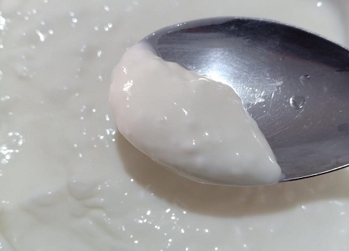 酸奶能浇绿萝吗