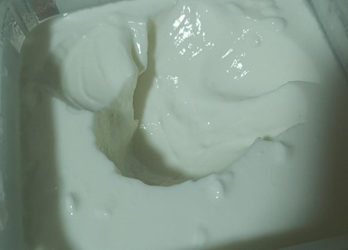 酸奶能浇栀子花吗