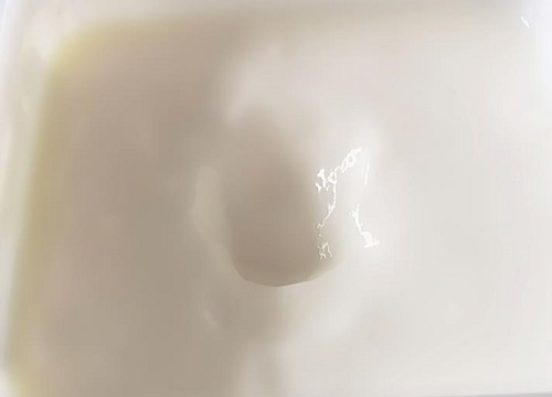 酸奶能浇蟹爪兰吗