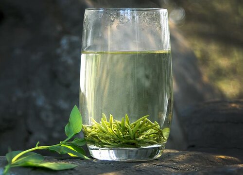 绿茶水可以浇发财树吗