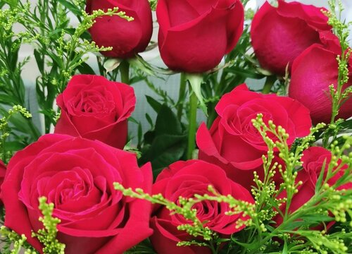 25朵玫瑰花花语代表什么意思