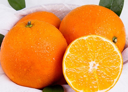 赣南脐橙是什么季节的水果