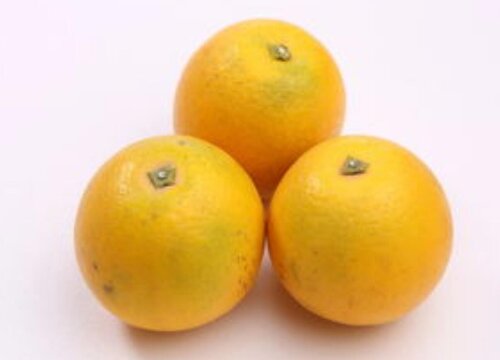 柳丁是什么水果