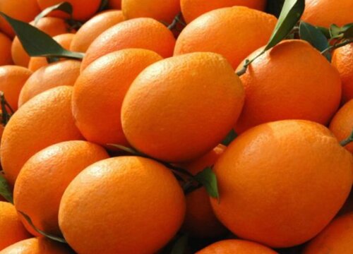 秭归脐橙是什么季节的水果