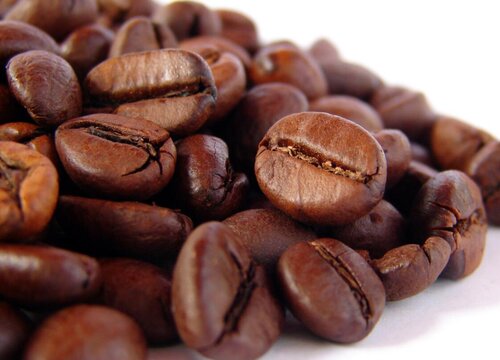 咖啡豆是什么植物的种子