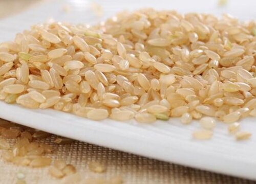 糙米是什么植物的果实