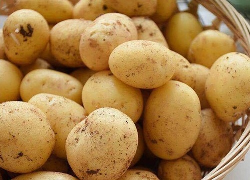 土豆是粮食作物吗