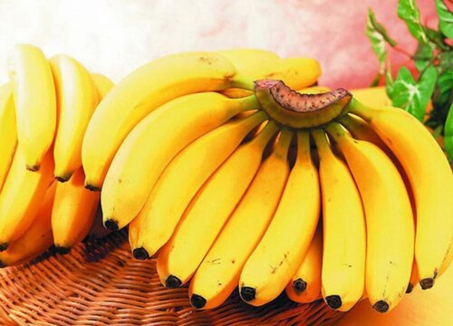 香蕉的甜度是多少