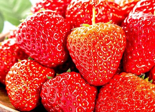 草莓果实类型