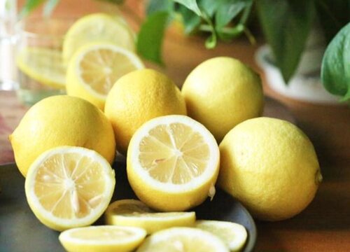 柠檬有多少品种