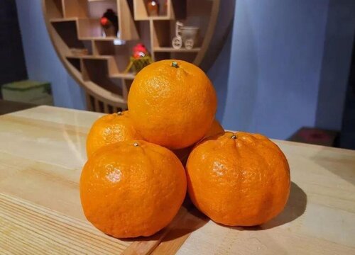 柑橘有多少品种
