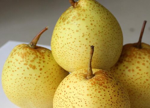 鸭梨是什么季节的水果