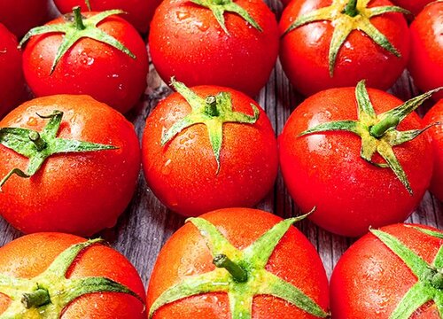 小番茄是什么季节的水果