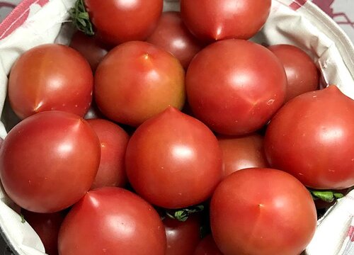小西红柿是什么季节的水果