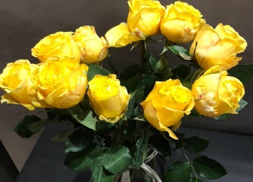 黄玫瑰代表什么花语