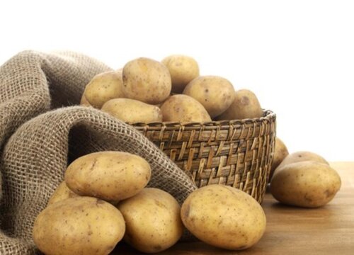 土豆是哪里的特产