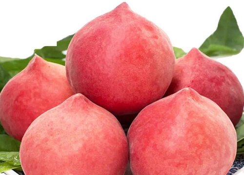 桃子是几月份的水果