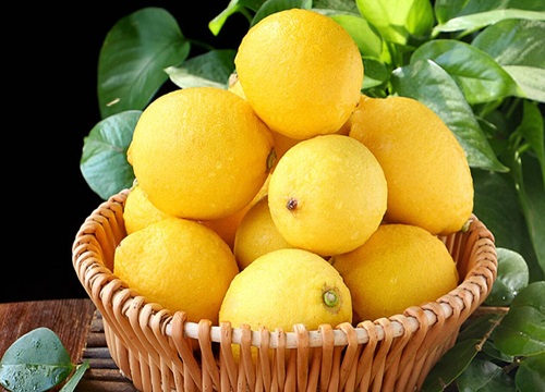 柠檬是几月份的水果