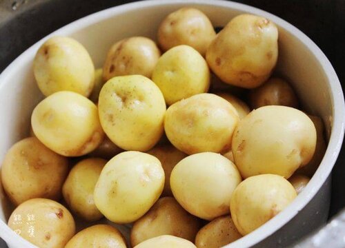 土豆几月份种植合适