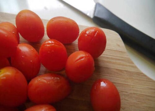 西红柿几月份种植合适