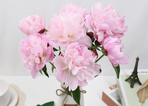 选择合适的植株,最好可以挑选生长粗壮,没有病虫害的健康枝条进行水养